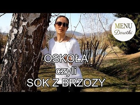 Wideo: Sok Brzozowy - Korzyści I Szkody. Jak I Kiedy Zbierać?