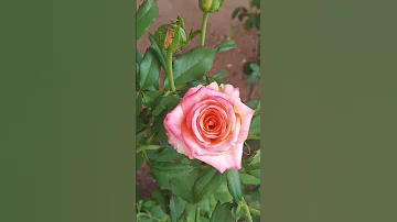 24 August 2025 