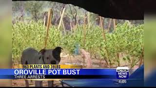 Oroville Pot Arrests on Lumpkin Rd