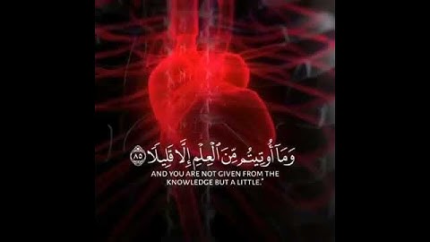 هنا تستريح النفوس المُتعَبه (ويسئلونك عن الروح) القارئ رعد الكردي