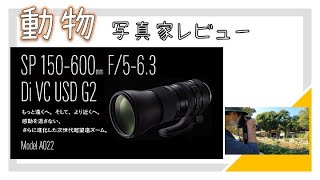 タムロン 150 600mm G2 Model A022 動物写真家レビュー Youtube タムロン 150 600mm G2 Model A022 動物写真家レビュー Youtube
