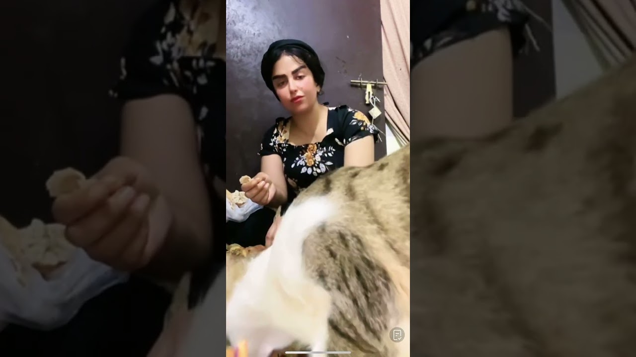 تعشيت قضيت عليهن اني شوني والبزازين اكلنه سمجات #زينب_بنت_الديوانيه 