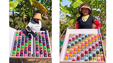 Ball Sort Puzzle: Master the Challenge, Design Your Dream Setup