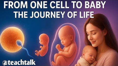 How a Baby is Formed? 😱 | Fertilization to Child Birth Full Journey | Biology Animation #teachtalk 