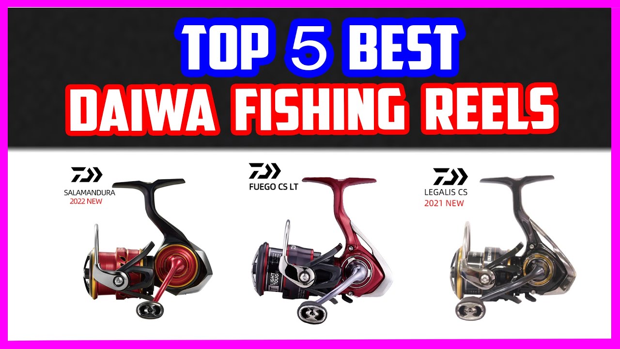 Top 5 Best Daiwa Fishing Reels  Daiwa Spinning Fishing Reel Baitcasting  Reels 