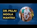 Dr pillais moola mantra with shreem brzee music chant