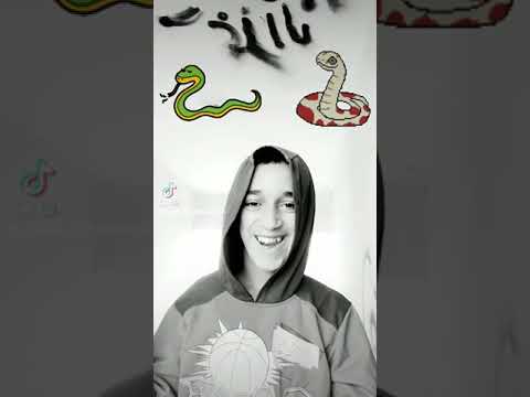 اول طريق السكه السوده