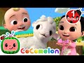 JJ Had A Little Lamb (Play outside at the Farm) | CoComelon Nursery Rhymes &amp; Kids Songs