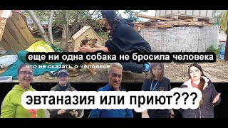 ЕСТЬ ИДЕЯ СДЕЛАТЬ КУРГАН ЕЩЕ ЛУЧШЕ/АДМИНИСТРАЦИЯ ПРИСЛУШАЙТЕСЬ/ЭВТАНАЗИЯ ИЛИ ПРИЮТ?/