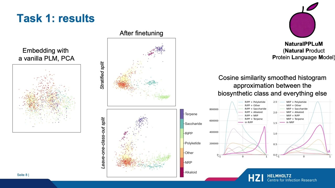 Protein Language Models for Biosynthetic Gene Clusters