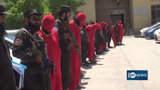 Herat police arrest three theft gangs | پولیس هرات سه گروه از دزدان حرفه‌ای را بازداشت کرد