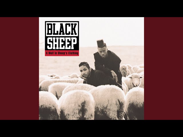 black sheep - pass the 40