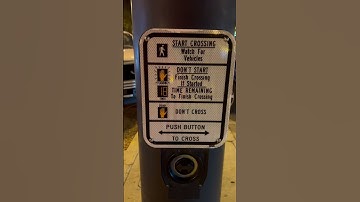 Country Crosswalk in Downtown Augusta, GA #shorts #funny #country