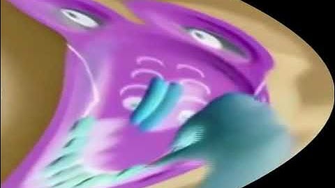 ZooPals! in Invert Deformation Slow 4X