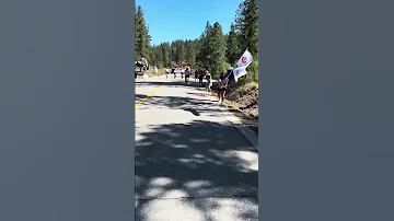 2025 Okanagan Gran Fondo 