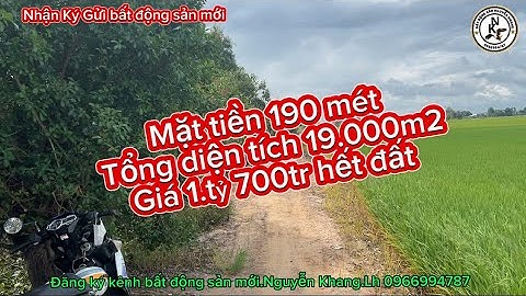 🎥,808 Bán đất mặt tiền lớn🤑diên tích 19.000m2 .kiến Tường Long An
