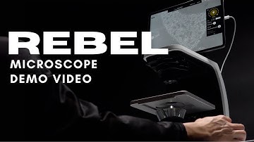 Rebel Microscope by Discover Echo | Full Demo Video (Brightfield + Phase Contrast)