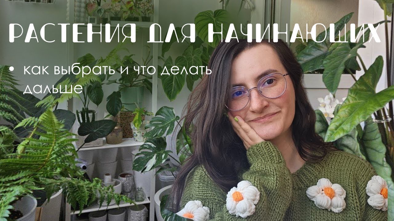 Комнатные растения для начинающих: советы по выбору и уходу.