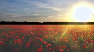 Coldplay - Prospekt&#39;s March/Poppyfields