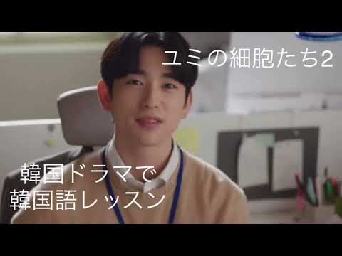 【ユミの細胞たち2】韓国ドラマで韓国語レッスン♪ 뭐 비슷한것도 추천해 드릴까요?/오랜만에 재미있는 책 읽었더니 독서 의욕이 솟는것 있죠