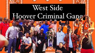 West Side Hoover Criminal Gang DENVER METRO GANGSTERS