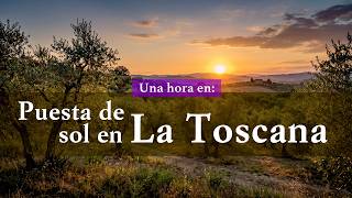 TUSCAN SUNSET 🌾 Relaxing Piano Music & Cicadas Sound for Sleep, Focus and Study