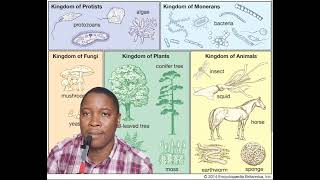Taxonomy screenshot 5