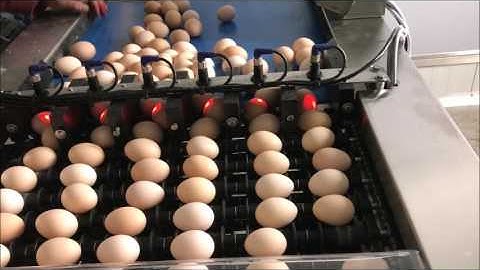 Optipack 70 farmpacker Traystacker and Hediflex stamping