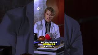 Вегетативная нервная система  Причины редких симптомов #film #кінонавечір #топкіно #movie  #memes