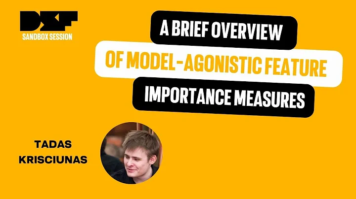 A brief overview of model-agonistic feature importance measures - Data Science Festival