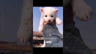 She Saved A Baby Fox And Gained A Friend