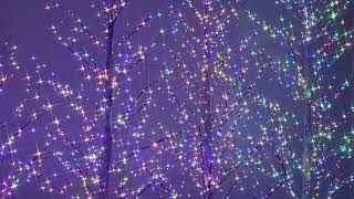 TG5-6413L LEDホワイトバーチツリー（L）