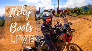 Itchy Boots LIVE - What's Happening?