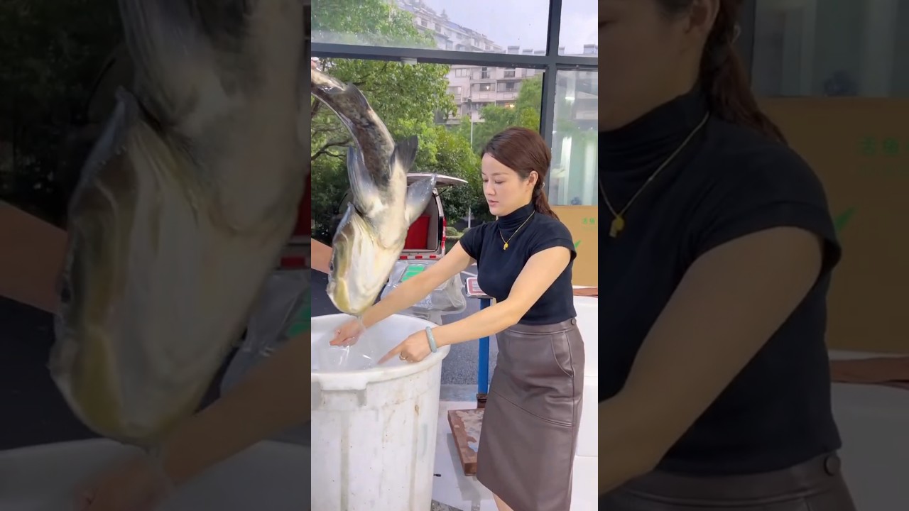 Packing Live Fish Safely for Transport.