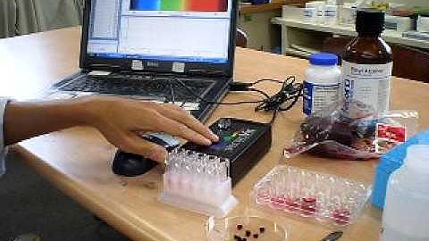 IB Biology diffusion of beetroot pigment measured using visible spectrophotometer.