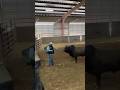 元飼育員との再会に牛が見せた行動とは…?
