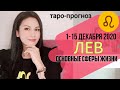 ЛЕВ ТАРО ПРОГНОЗ 1 ~ 15 ДЕКАБРЯ 2020. Основные сферы