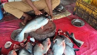 Wow 😱😱😱 | amazing fish cutting skills | never seen | silver fish cutting live by expats fish cutter