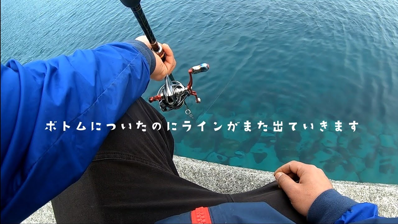 エギング デイの3月アオリイカ 連発 コウイカも連発 Youtube