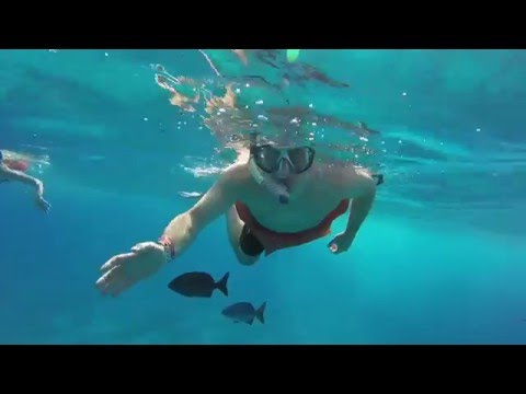 cozumel 3 reefs