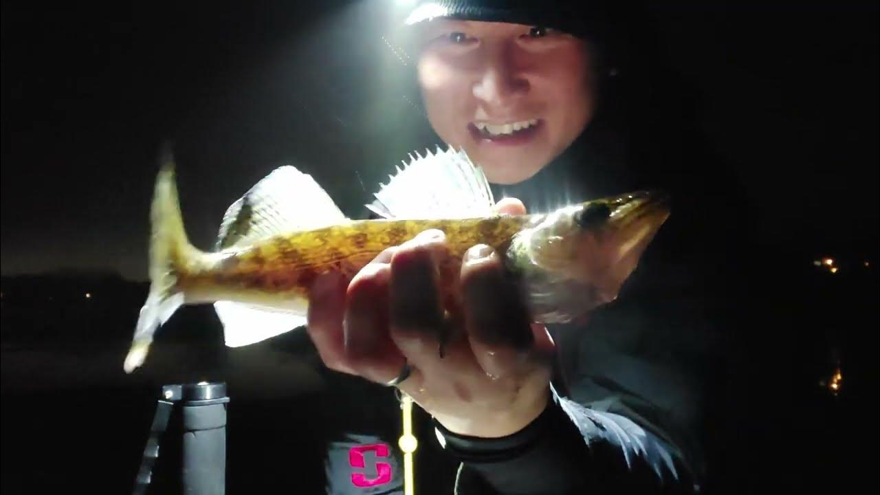 Gervais Lake, Minnesota Fishing the Metro YouTube