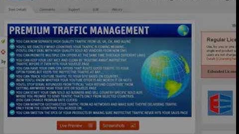 Wordpress Plugin Website Traffic Management System