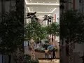 Forest in the mall