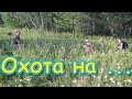 Съездили за клубникой на поле. Планы на наш участок. Время с семьей. (07.20г.) Семья Бровченко.