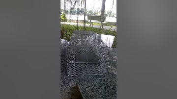 Bẩy chuột an toàn bẫy chuột hiệu quả nhất Loại lớn 2 cửa vào