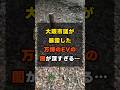 大阪市議が暴露した万博のEVの闇が深すぎる