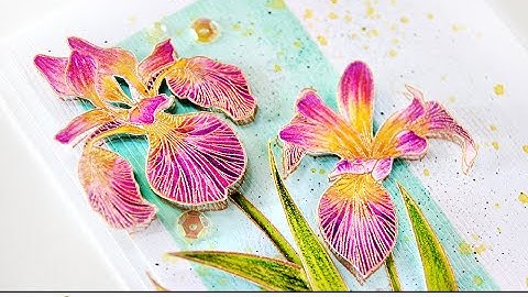 Altenew Product Intro - Embossing Powders