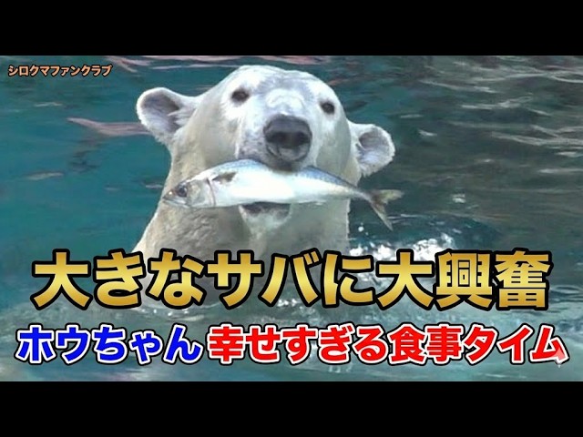 Hou- is excited about the big mackerel 💗 and has a very happy