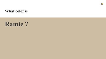 Ramie color #cdbda2 hex color - Yellow color - Cool color cdbda2