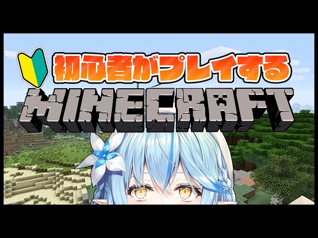 【Minecraft】初心者マイクラ！松明祭り【雪花ラミィ/ホロライブ】のサムネイル